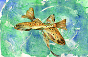 Poster / Fine Art Print Poster / Fine Art Print